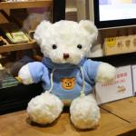 Bear Doll 30cm - តុក្កតាខ្លាឃ្មុំ 30cm