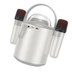 Speaker Bluetooth hoco BS59 (2 Wireless Mics) - បាស់ប្ល៊ូធូសប្រើថ្ម ហូកូ BS59 មានមេក្រូប៊្លូធូស2