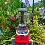 Electronic blender RAF 1800W R.2828 - ម៉ាស៊ីនក្រឡុកទឹកកក​​ RAF 1800W R.2828
