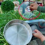 Fry Pan stainless steel​ DSP CS003-C28 - ខ្ទះអ៊ីណុក 304 DSP CS003-C28