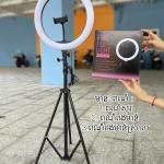 LED Selfie Ring Live 10" 26cm 1 clipper (Ring Fill Light) - អំពូលស៊ែលហ្វីមូល ទំហំ10អ៊ីង 26សមក្រចាប់1