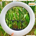 LED Selfie Ring Live 56cm 3Clip+Remote MF-22 - អំពូលមូល ស៊ែលហ្វី MF22 ក្រចាប់3មានតេឡេ ទំហំ56cm