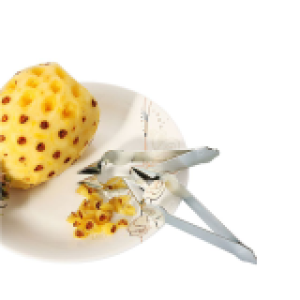 ឧបករណ័ចិតមុខម្នាស់ - 